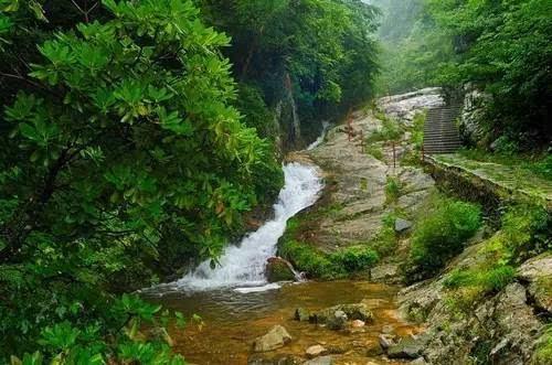 缤纷水果茶